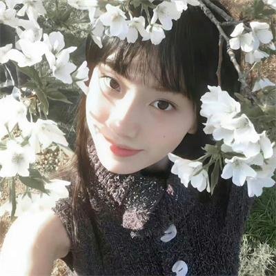 改变攻略对象后冷面少主他开窍了